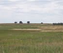 80 acres